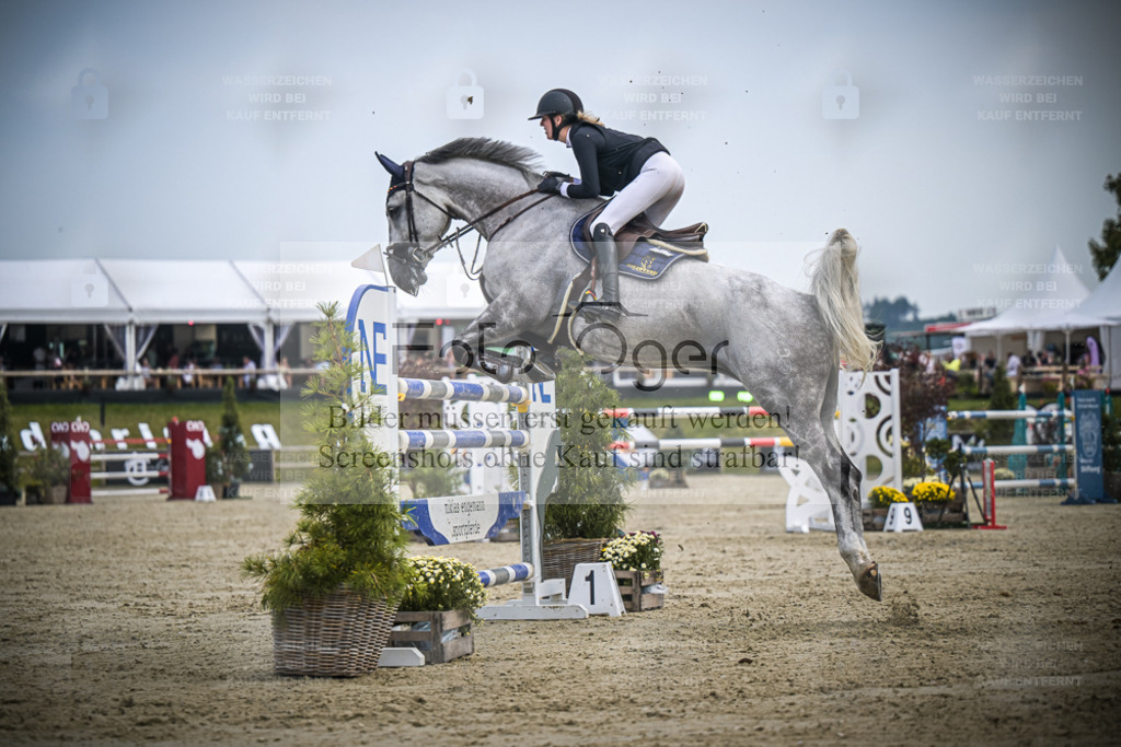 DOS_1313 | Entdecke hochwertige Reitturnierfotos von Foto Oger. Professionell, emotional und authentisch – jetzt Lieblingsmomente im Shop bestellen. - Realisiert mit Pictrs.com