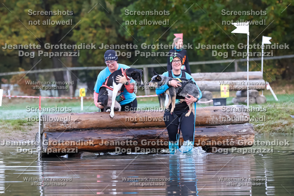 Dog Paparazzi - Strongdog 10-25-6254 | Dog Paparazzi Jeanette Grottendiek Fotografie & Videografie - Realisiert mit Pictrs.com