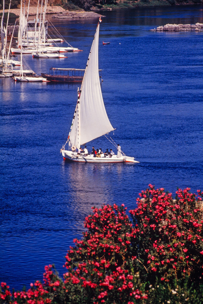 Egypt_Assuan_Feluka_1988_15766 Kopie | Aegypten, Assuan, Nilstimmung