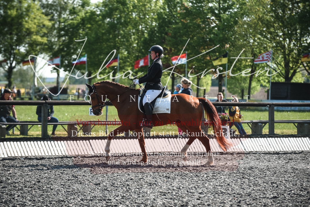 DSC_8737 | Pferde- und Turnierfotografie in Westsachsen. Pferdeportraits, Auftragszeichnungen und intuitive Kunst.