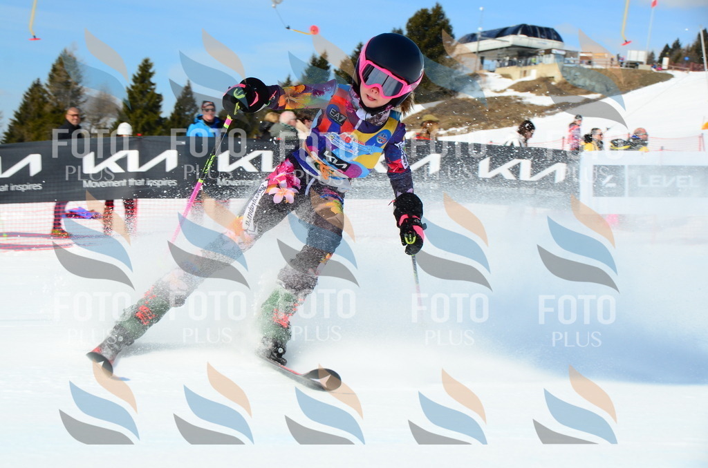 DSC_0504 | holidayphoto