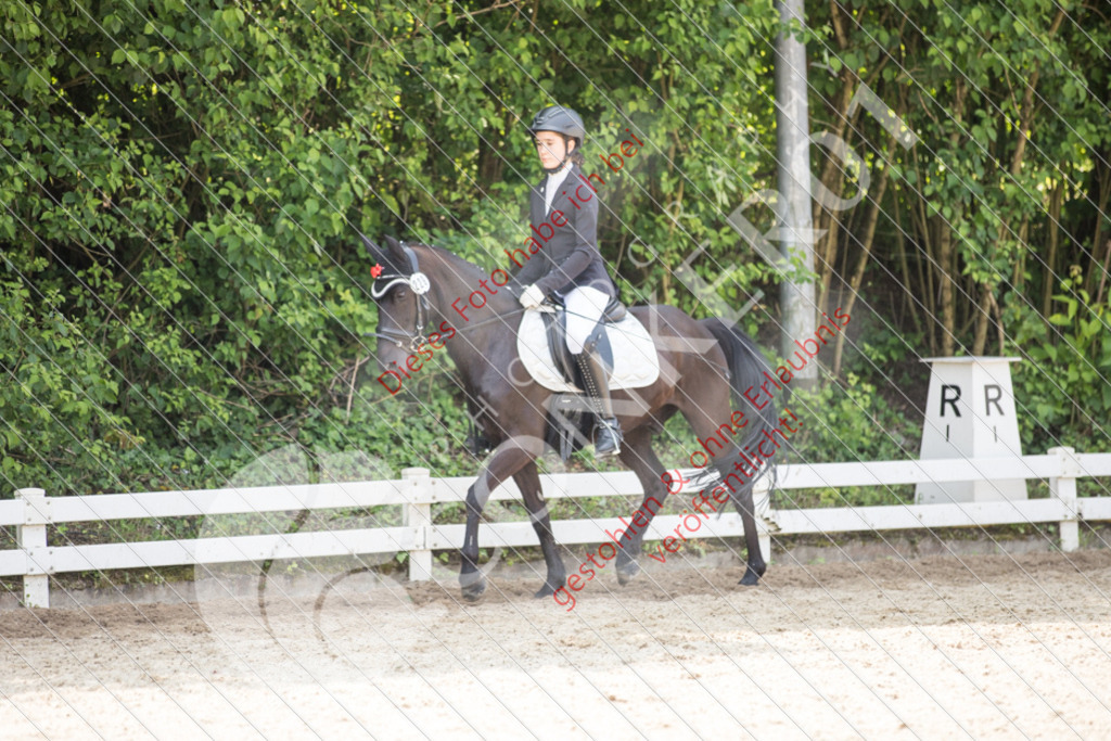 IMG_3630 | Sport-, Event- und Tierfotos in Profiqualität. Einfach auswählen, bestellen und herunterladen. Dein Moment – perfekt festgehalten.