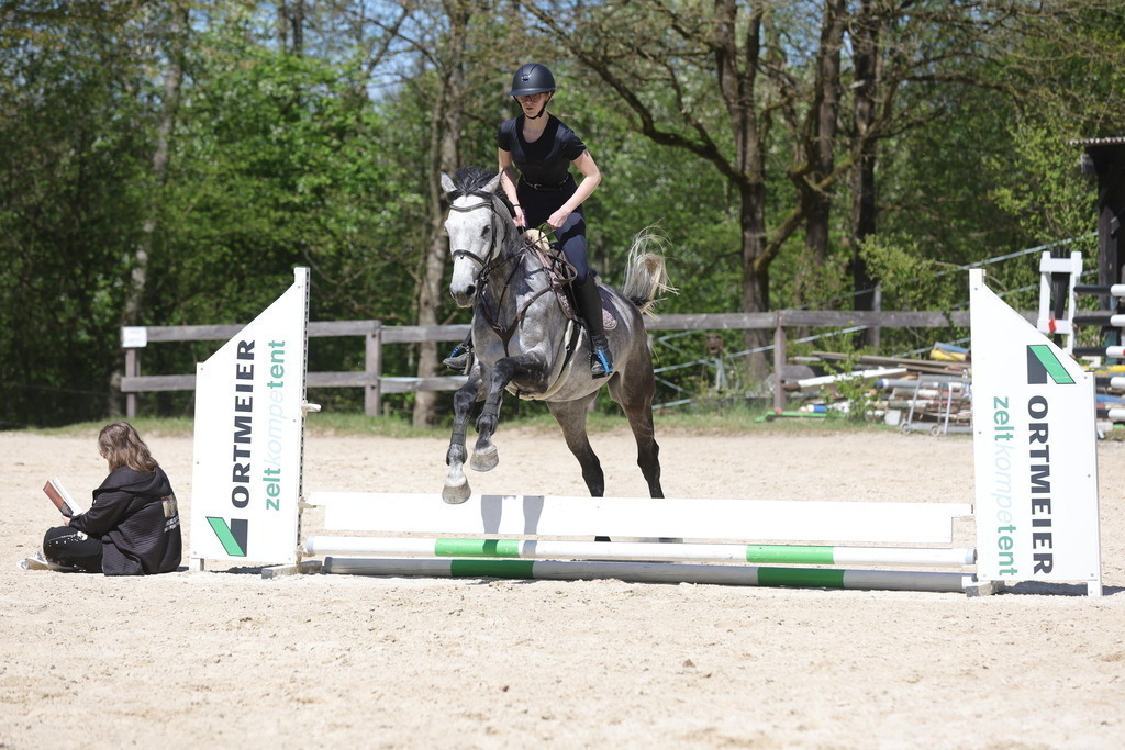 0P6A8830 | Willkommen bei Brunnmayr - Design & Fotografie – Ihrem Spezialisten für Reitturniere und Pferdeveranstaltungen in Oberösterreich, Salzburg und Bayern! Seit über 17 Jahren sind wir leidenschaftlich dabei.