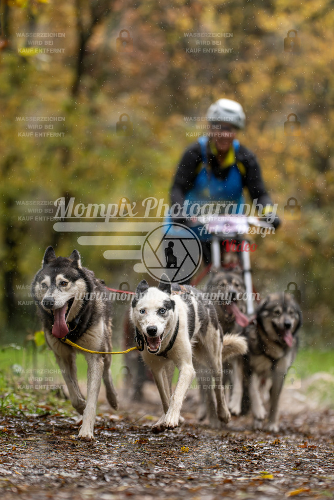 MompixPhotography_Bischwiller23_Kart-18 | PayLife