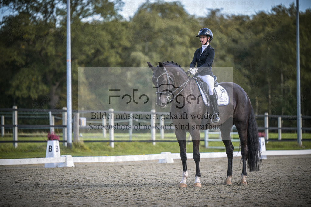 DOS_4174 | Entdecke hochwertige Reitturnierfotos von Foto Oger. Professionell, emotional und authentisch – jetzt Lieblingsmomente im Shop bestellen.Deutschlandweite Turnierfotografie. - Realisiert mit Pictrs.com