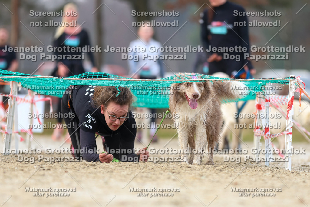 Dog Paparazzi - Strongdog North Mrz26-4145 | Dog Paparazzi Jeanette Grottendiek Fotografie & Videografie - Realisiert mit Pictrs.com
