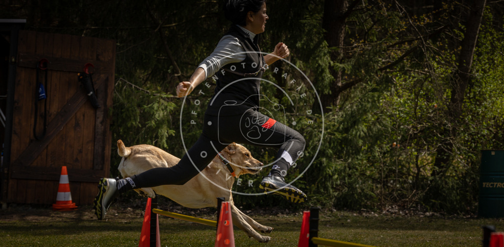 Pfotenfotografie_DV3A3528 | Hundefotografie, Tierfotograf, Pfotenfotografie, Fotoshooting Hund, Hunde Portrait, Hundesport, Hundeportraits, Heideshooting, Hunde, Sportfotograf, Hundefotograf, Turnierhundsport, THS,  - Realisiert mit Pictrs.com