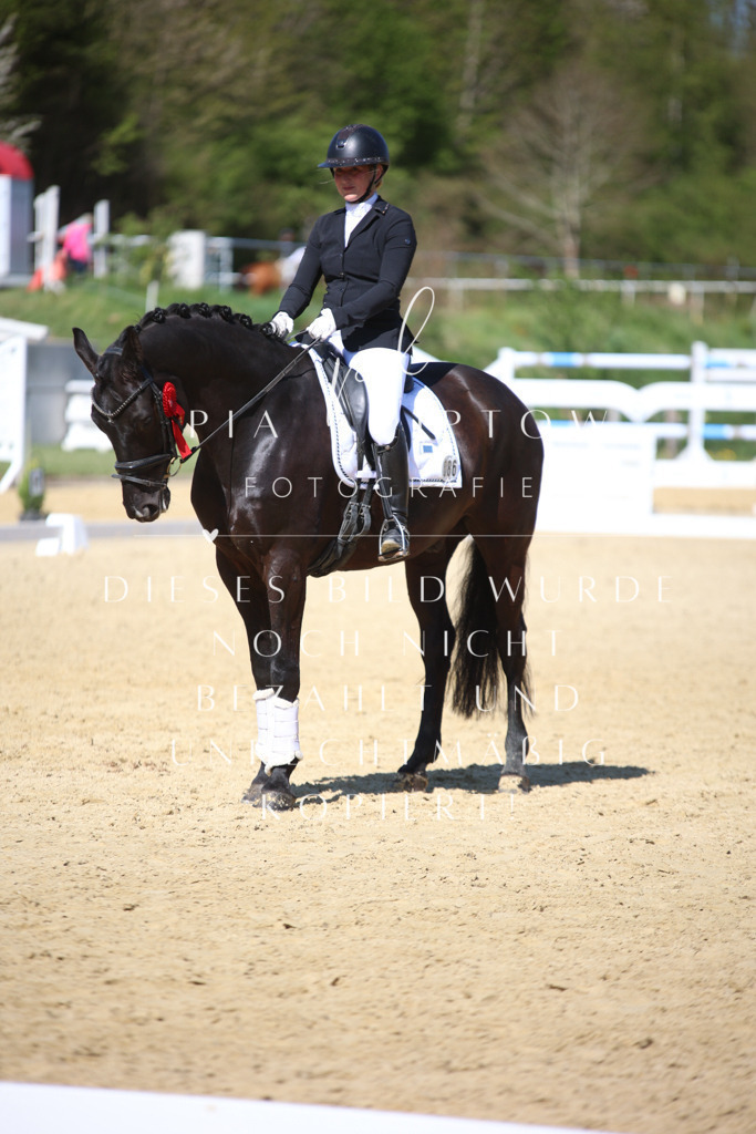 IMGT8182 | pl-fotografie