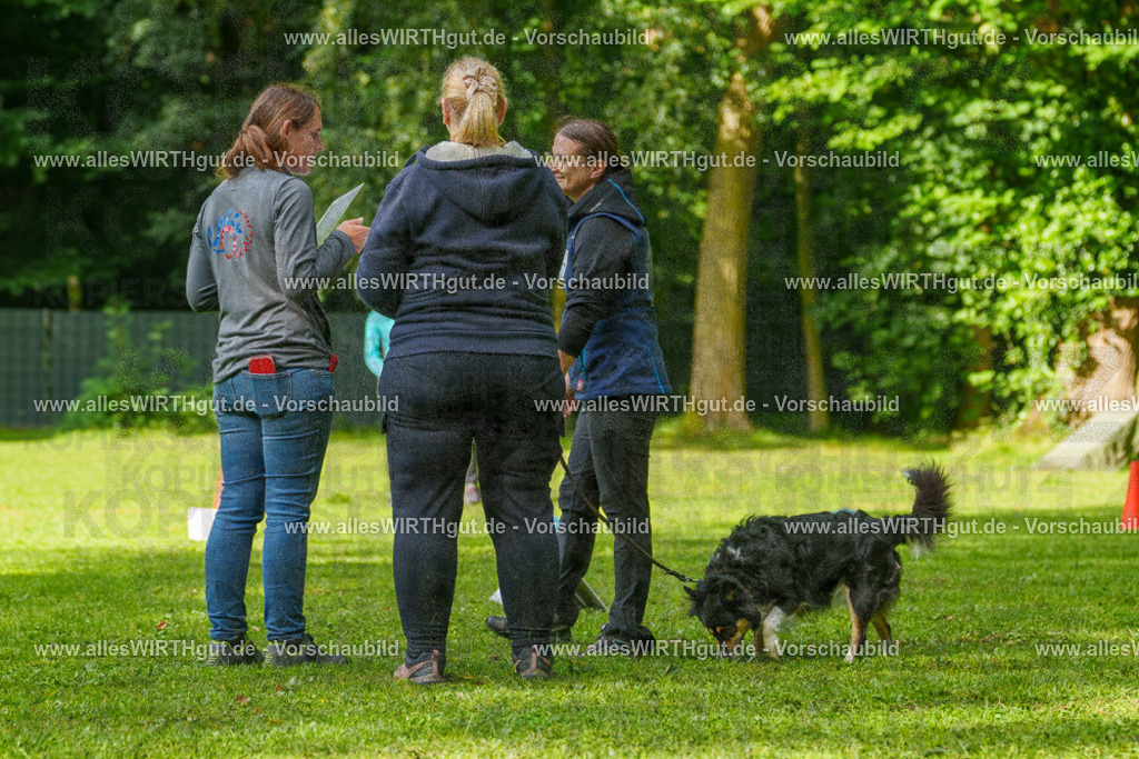 @allesWIRTHgut_Tierfotografie - www.allesWIRTHgut.de - 7R501995 | Professionelle Tierfotografie in Mönchengladbach von Daniel Wirth (allesWIRTHgut). Liebevolle & natürliche Bilder von Hunden & Katzen für unvergessliche Erinnerungen.