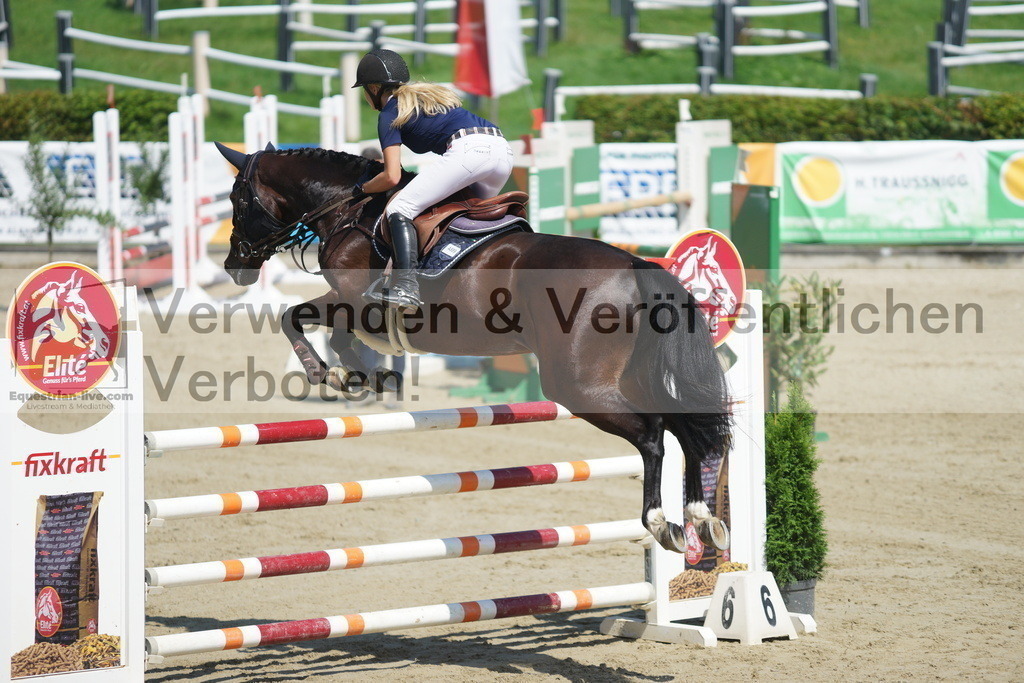 DSC05767 | equestrian-live-com