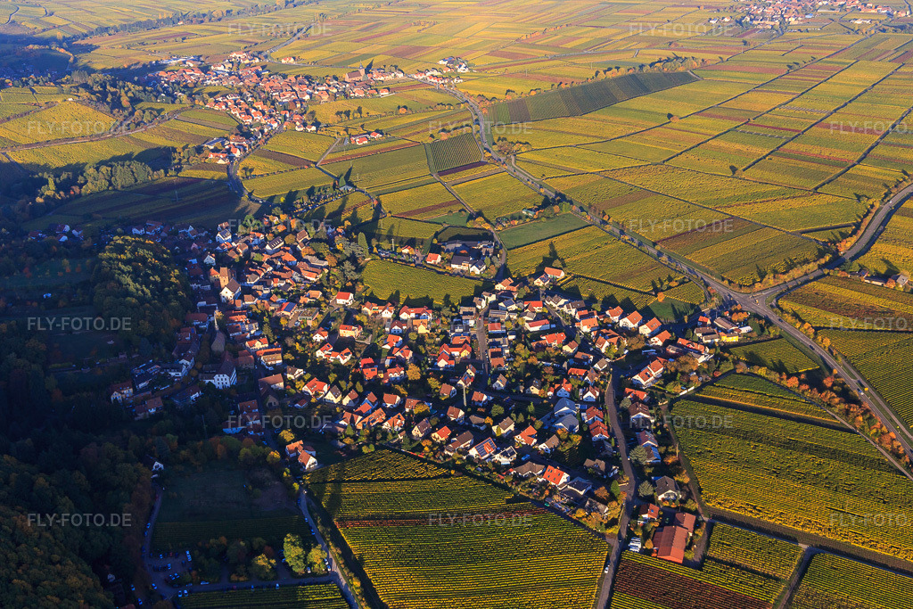 Luftbild: Winzerdorf am Haardtrand in Herbstfarben aus Süden in Gleisweiler im Bundesland Rheinland-Pfalz in Deutschland. Foto: IMG_095684.jpg vom 30.10.2016 durch Werner Riehm/FLY-FOTO.de