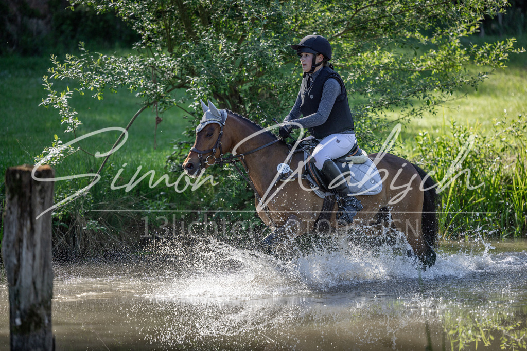 20260523-_3LI6384 | Tierfotografie Pferde, Hunde, Katzen, Haustiere.
Turnierfotografie Reitturniere, Reiten, Springreiten, Dressur in Hanau, dem Main-Kinzig-Kreis und dem Rhein-Main- Gebiet um Frankfurt