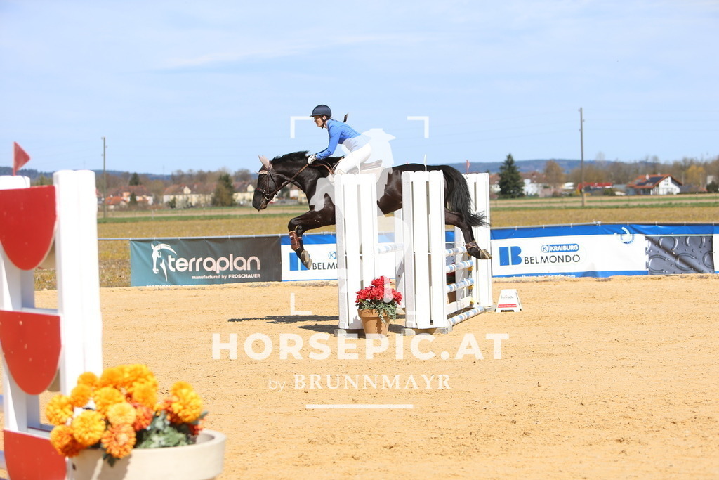 DL2Q5772 | Willkommen bei Brunnmayr - Design & Fotografie – Ihrem Spezialisten für Reitturniere und Pferdeveranstaltungen in Oberösterreich, Salzburg und Bayern! Seit über 17 Jahren sind wir leidenschaftlich dabei.