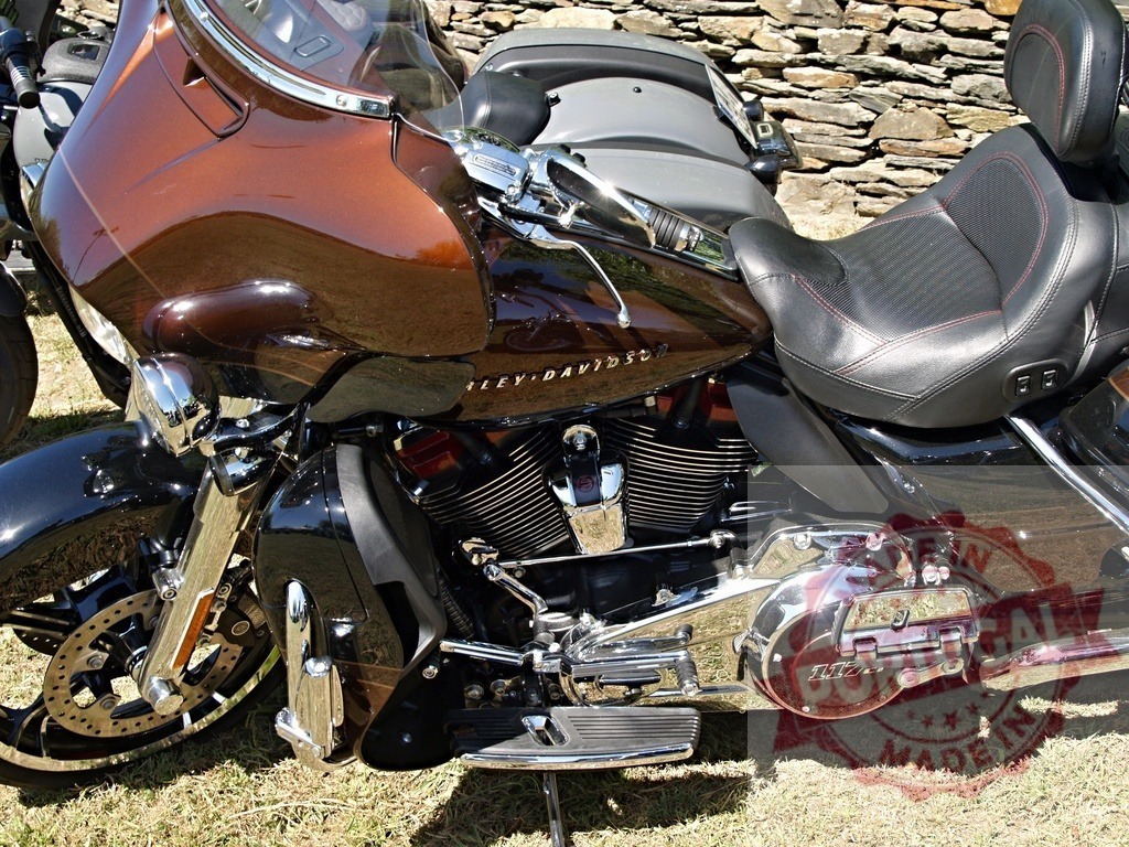 Powerful Harley-Davidson Motorcycle Engine and Seat Gleaming in Sunlight | Gleaming chrome engine and comfortable black leather seat of a Harley-Davidson motorcycle parked on grass, showcasing power and style - Realisiert mit Pictrs.com