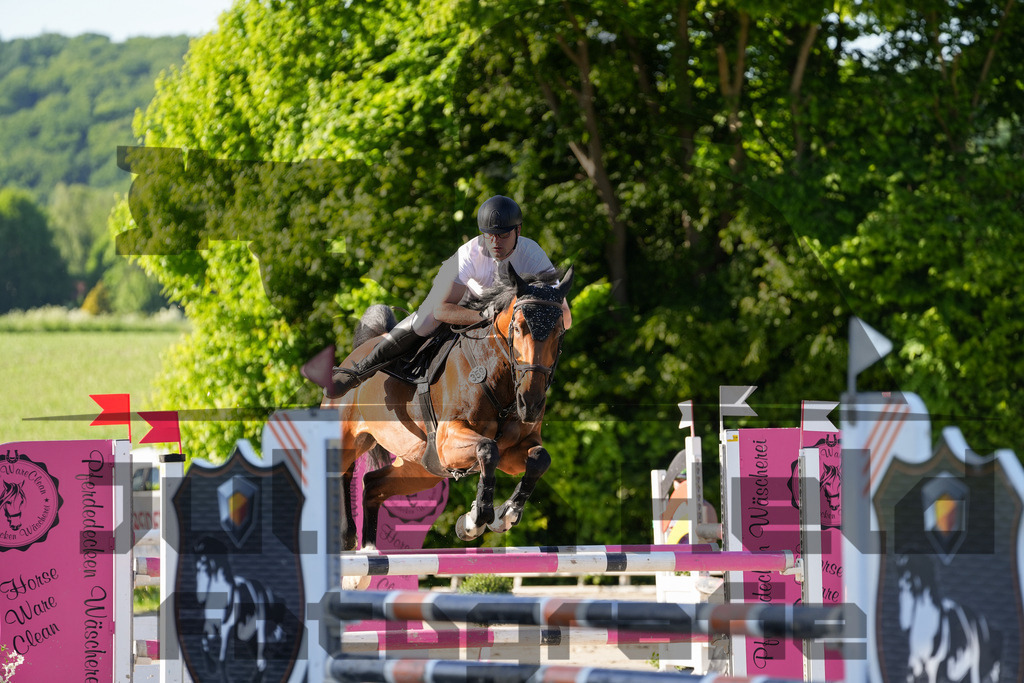 DSC02535 | Julian Held Fotografie - Realisiert mit Pictrs.com