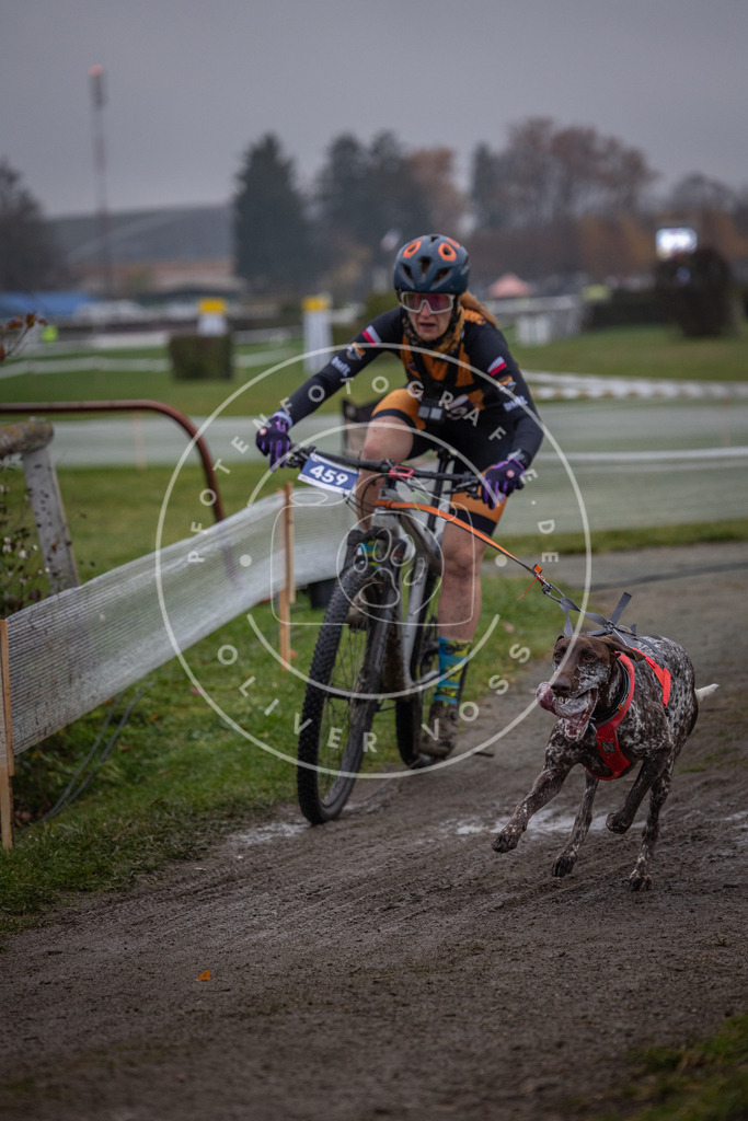 CaniXpix_0L8A1581 | Hundefotografie, Tierfotograf, Pfotenfotografie, Fotoshooting Hund, Hunde Portrait, Hundesport, Hundeportraits, Heideshooting, Hunde, Sportfotograf, Hundefotograf, Turnierhundsport, THS,  - Realisiert mit Pictrs.com