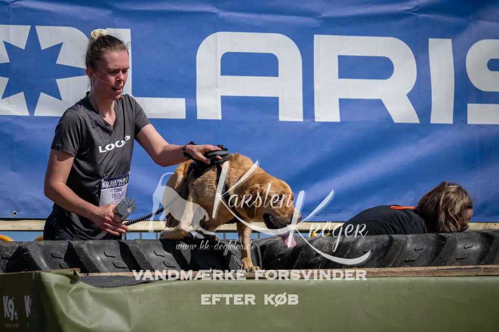 1157_ZZ92943 | kk-dogfotos