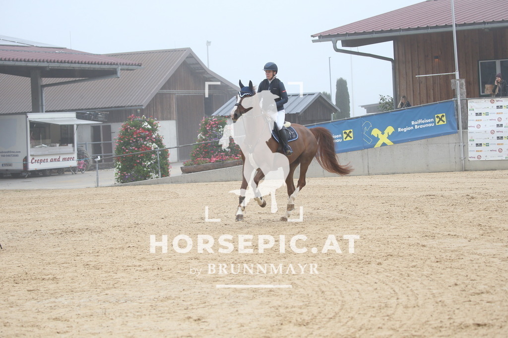 DL2Q3193 | Willkommen bei Brunnmayr - Design & Fotografie – Ihrem Spezialisten für Reitturniere und Pferdeveranstaltungen in Oberösterreich, Salzburg und Bayern! Seit über 17 Jahren sind wir leidenschaftlich dabei.