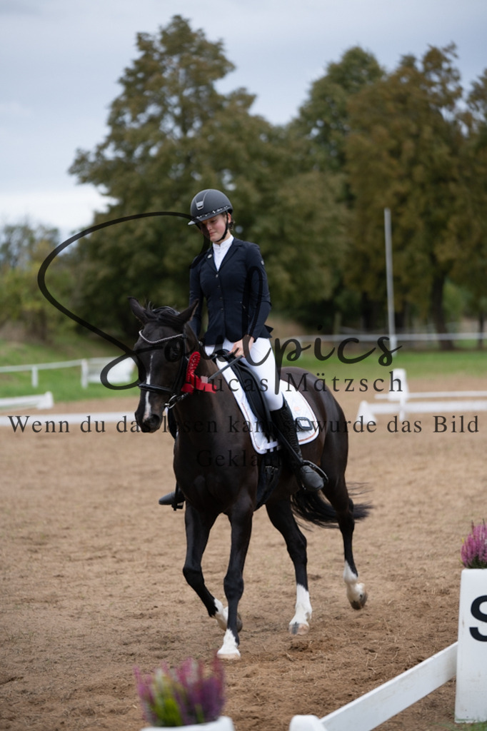 A7V05450 | Pferdefotograf