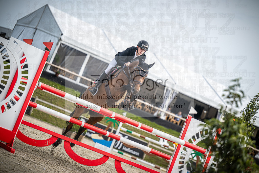 DOS_1909 | Entdecke hochwertige Reitturnierfotos von Foto Oger. Professionell, emotional und authentisch – jetzt Lieblingsmomente im Shop bestellen.Deutschlandweite Turnierfotografie. - Realisiert mit Pictrs.com