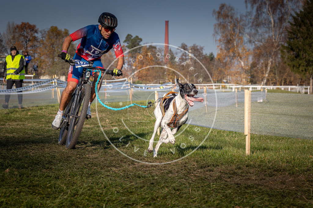 CaniXpix_0L8A6586 | Hundefotografie, Tierfotograf, Pfotenfotografie, Fotoshooting Hund, Hunde Portrait, Hundesport, Hundeportraits, Heideshooting, Hunde, Sportfotograf, Hundefotograf, Turnierhundsport, THS,  - Realisiert mit Pictrs.com