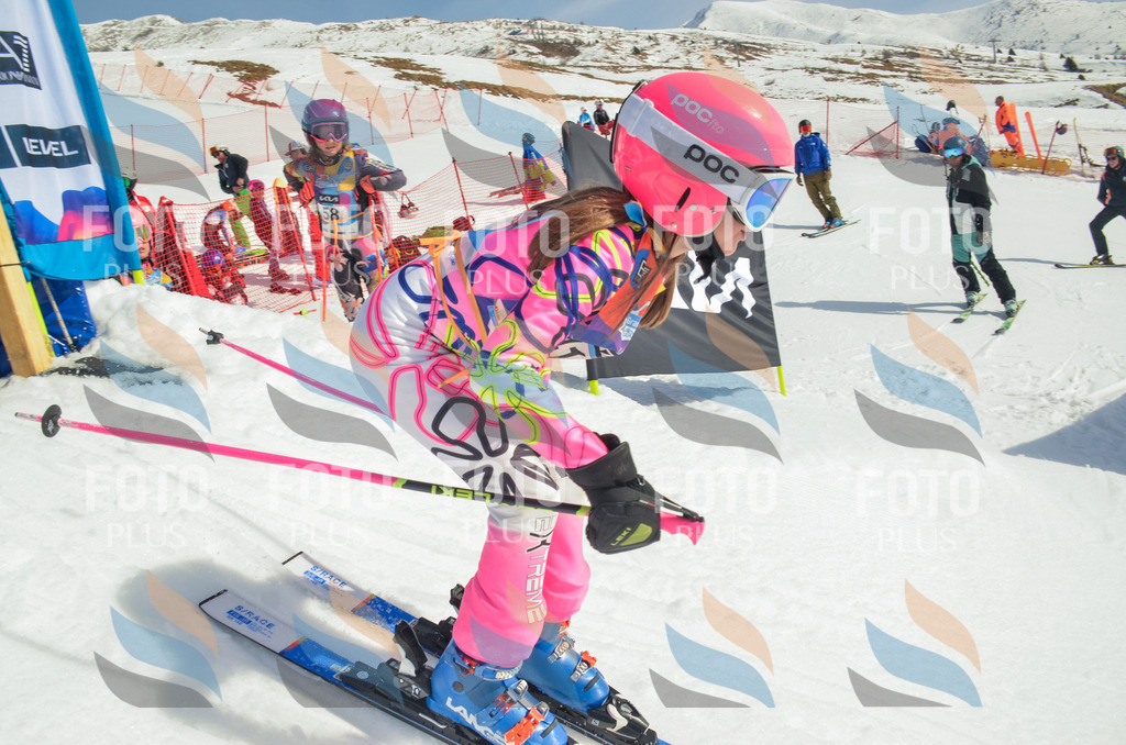 _ELE5044 | holidayphoto