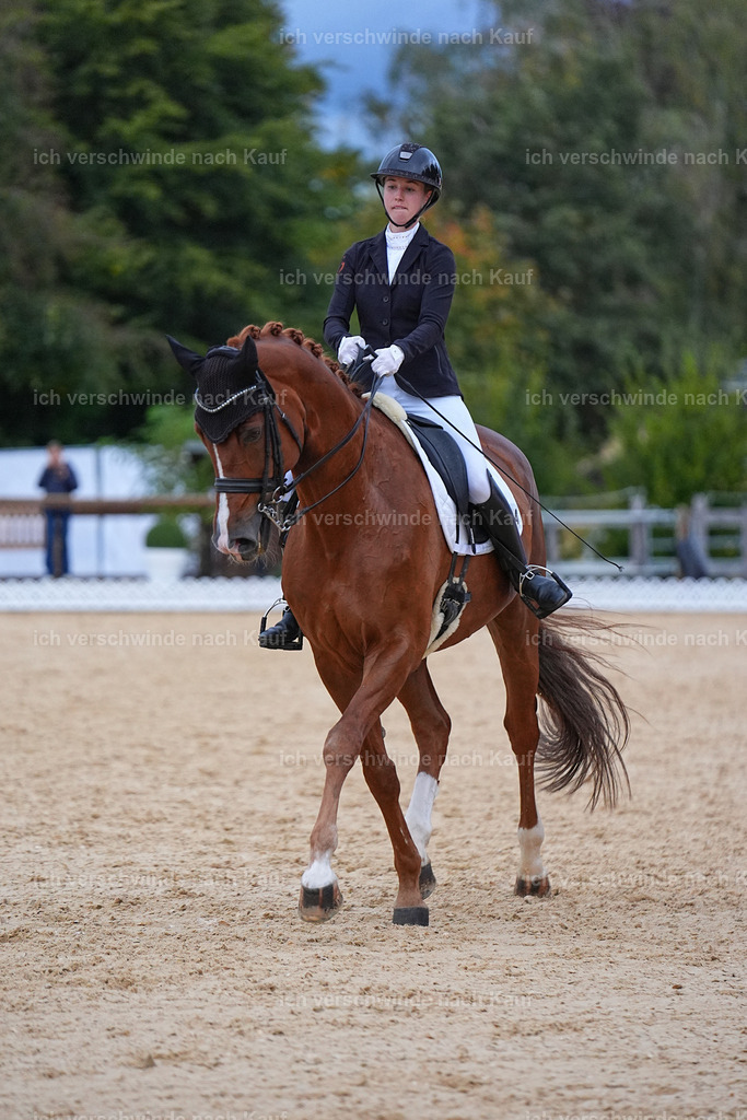 04_2-064-Dressur M__ -Marixx-3086 | working equitationturnier fotograf videograf stoibphotography marixx film working equitation deutschland reitsport turnierfotografie eventfotografie equestrian events