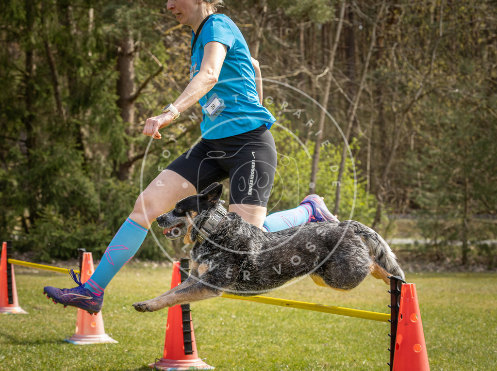 Pfotenfotografie_DV3A6546 | Hundefotografie, Tierfotograf, Pfotenfotografie, Fotoshooting Hund, Hunde Portrait, Hundesport, Hundeportraits, Heideshooting, Hunde, Sportfotograf, Hundefotograf, Turnierhundsport, THS,  - Realisiert mit Pictrs.com