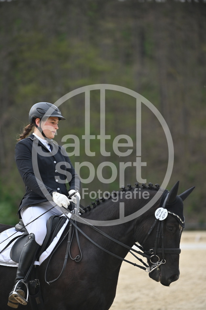 DSC_5169 | sattelsport - Realisiert mit Pictrs.com