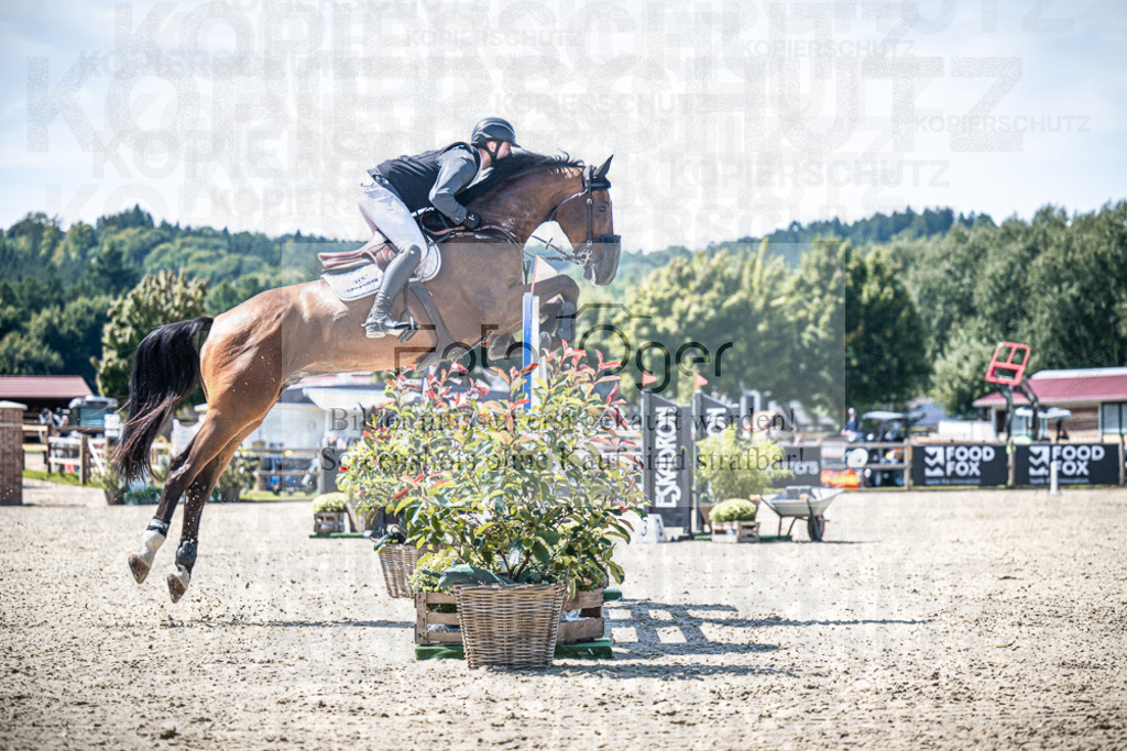 DOS_4989 | Entdecke hochwertige Reitturnierfotos von Foto Oger. Professionell, emotional und authentisch – jetzt Lieblingsmomente im Shop bestellen.Deutschlandweite Turnierfotografie. - Realisiert mit Pictrs.com