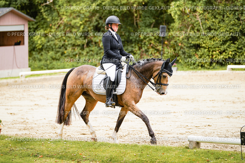 DSC02463 | Pferdegrafie