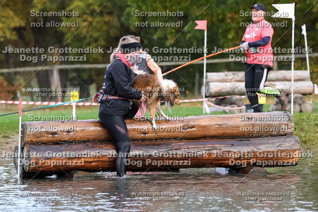 Dog Paparazzi - Strongdog 10-25-6832 | Dog Paparazzi Jeanette Grottendiek Fotografie & Videografie - Realisiert mit Pictrs.com