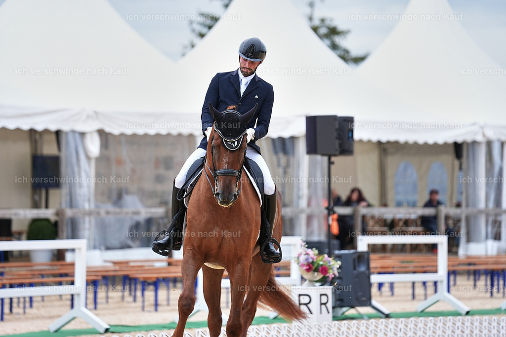 04_1-165-Dressur M__ -Marixx-2782 | working equitationturnier fotograf videograf stoibphotography marixx film working equitation deutschland reitsport turnierfotografie eventfotografie equestrian events