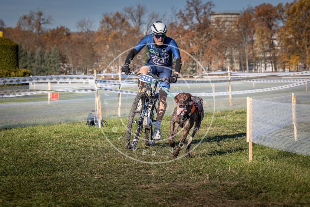 CaniXpix_0L8A5166 | Hundefotografie, Tierfotograf, Pfotenfotografie, Fotoshooting Hund, Hunde Portrait, Hundesport, Hundeportraits, Heideshooting, Hunde, Sportfotograf, Hundefotograf, Turnierhundsport, THS,  - Realisiert mit Pictrs.com