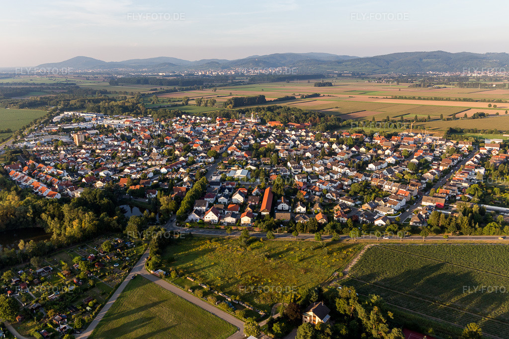 Luftbild: Ortsansicht von Südwesten im Ortsteil Hüttenfeld in Lampertheim im Bundesland Hessen in Deutschland. Foto: IMG_103061.jpg vom 28.08.2017 durch Werner Riehm/FLY-FOTO.de