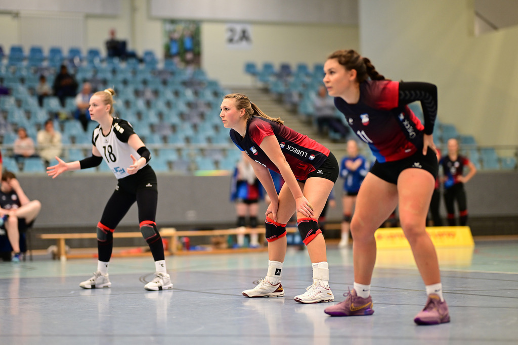 Volleyball I Frauen I Saison 2024-2025 I Regionalliga Nord I VT Hamburg - VSG Lübeck | Der Sportfotograf. - Realisiert mit Pictrs.com