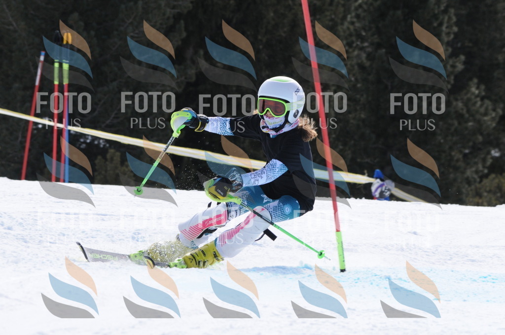 C9915 | holidayphoto