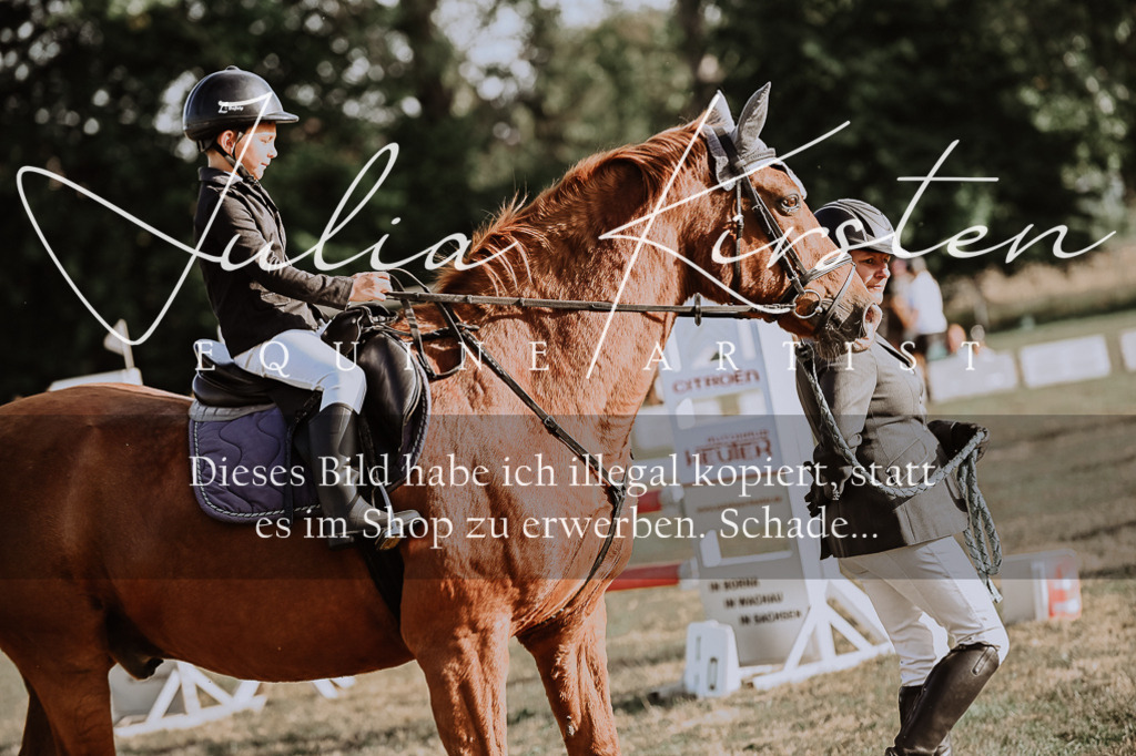 DSC_0075 | Pferde- und Turnierfotografie in Westsachsen. Pferdeportraits, Auftragszeichnungen und intuitive Kunst.