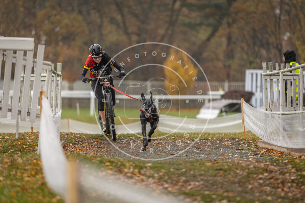 CaniXpix_DV3A8088 | Hundefotografie, Tierfotograf, Pfotenfotografie, Fotoshooting Hund, Hunde Portrait, Hundesport, Hundeportraits, Heideshooting, Hunde, Sportfotograf, Hundefotograf, Turnierhundsport, THS,  - Realisiert mit Pictrs.com