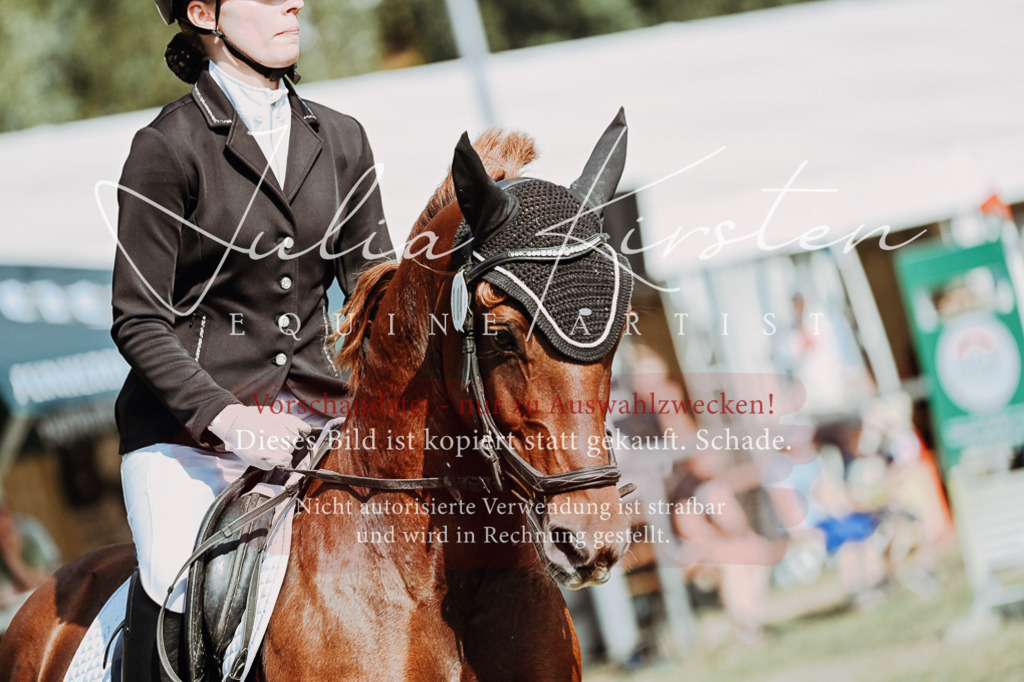 DSC_9362 | Pferde- und Turnierfotografie in Westsachsen. Pferdeportraits, Auftragszeichnungen und intuitive Kunst.