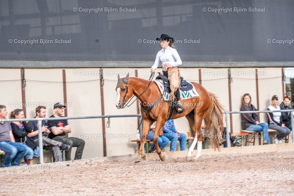 SBS01204 | BS-foto