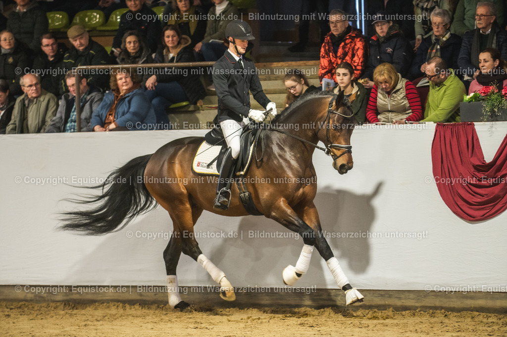 20240302_Hengstvorstellung_Marbach_TOMsPiC_0133 | equistock