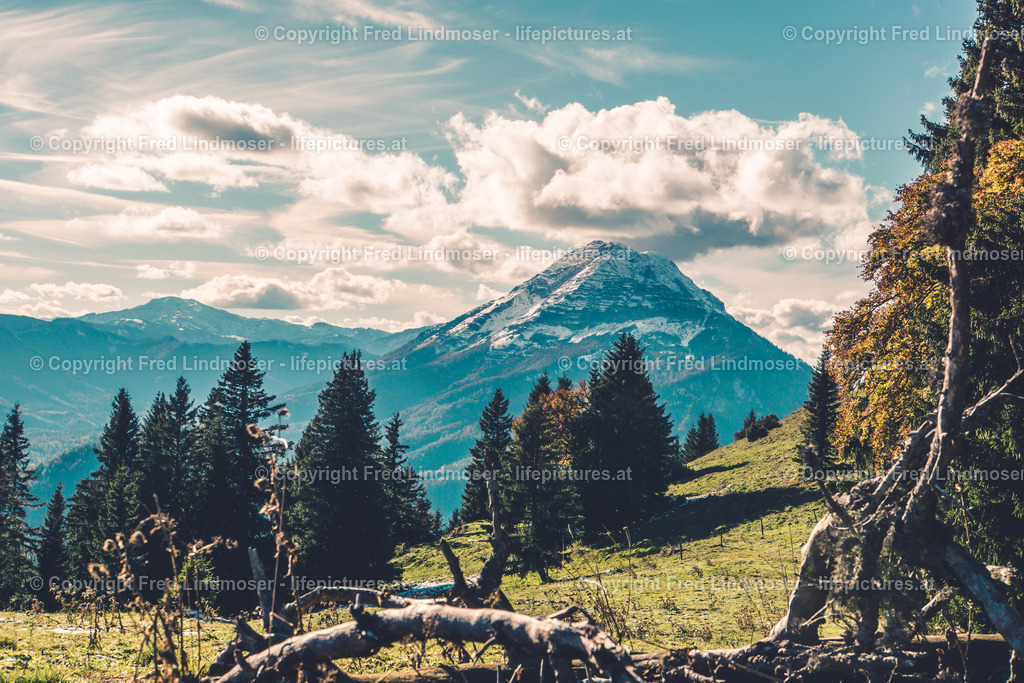 Otscher  (44) | Fotos und Fotoprodukte - Realisiert mit Pictrs.com