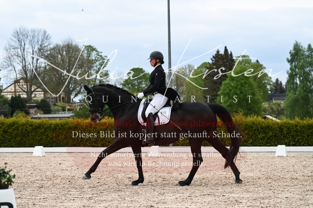 20230513_JK-Röhrsdorf-13-423 | Pferde- und Turnierfotografie in Westsachsen. Pferdeportraits, Auftragszeichnungen und intuitive Kunst.