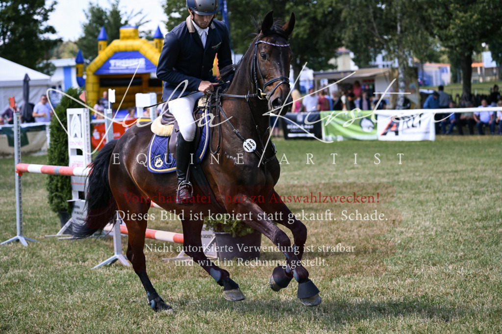 DSC_0151 | Pferde- und Turnierfotografie in Westsachsen. Pferdeportraits, Auftragszeichnungen und intuitive Kunst.