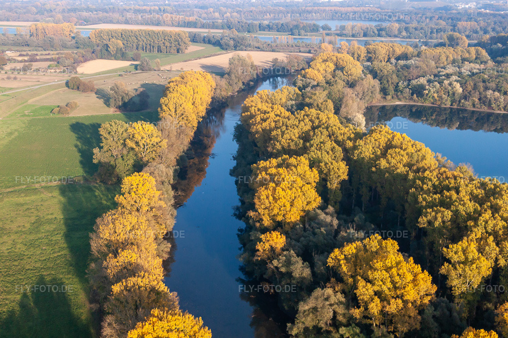 Luftbild: Hagenbacher Altrhein im Ortsteil Maximiliansau in Wörth im Bundesland Rheinland-Pfalz in Deutschland. Foto: IMG_46061.jpg vom 23.10.2011 durch Werner Riehm/FLY-FOTO.de