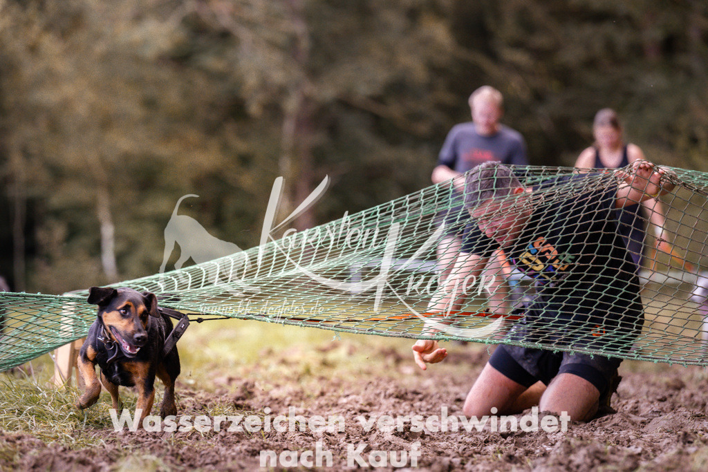 1232_ZZ94861 | kk-dogfotos