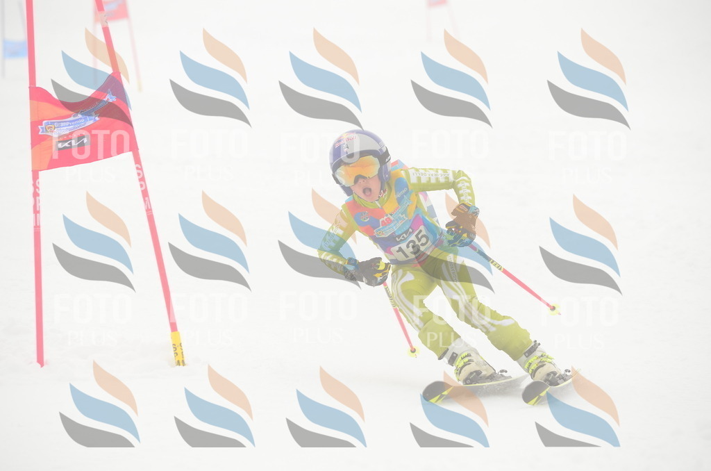 C1667 | holidayphoto