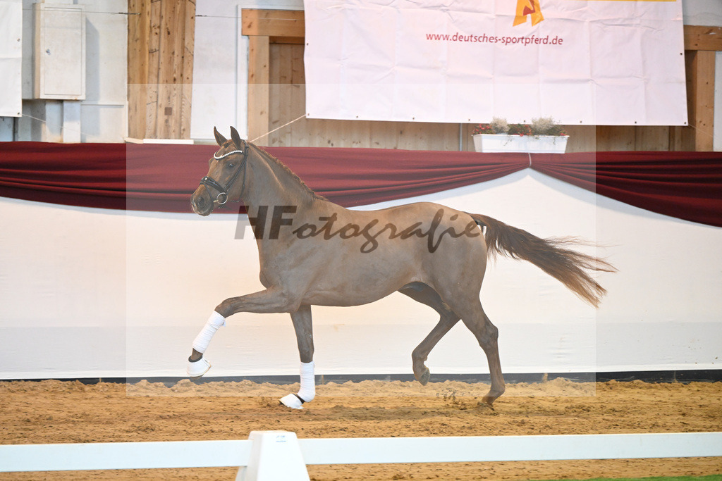 Kat-Nr. 7 v. Bon Courage_Plank_66220072 | hf-fotografie - Realisiert mit Pictrs.com