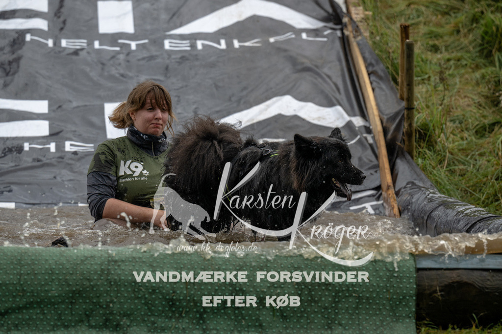 1546_ZZ90512 | kk-dogfotos